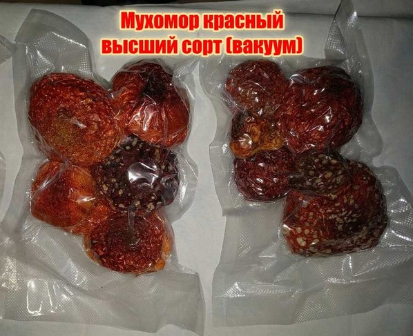 шляпки мухомора красного Санкт-Петербург